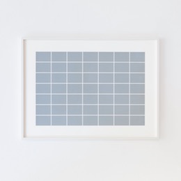 Alan Charlton49 Rectangles, 2008