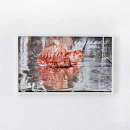 Clegg & GuttmannSmall Frozen Ribs, 2007/2013