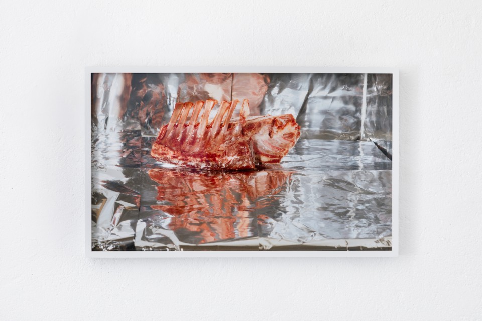Image Nr:2 Small Frozen Ribs, 2007/2013 