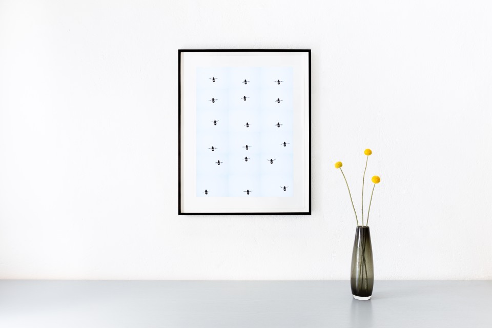 Image Nr:1 June 7, 2013 (2016) 