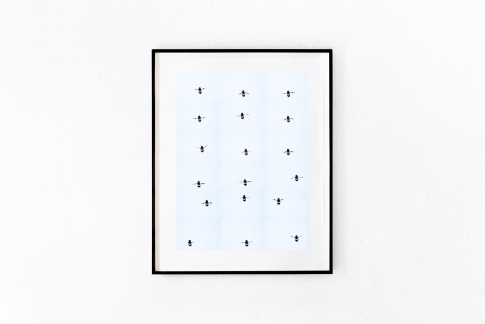 Image Nr:2 June 7, 2013 (2016) 